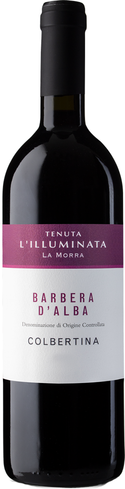 Tenuta LÍlluminata Barbera dÀlba Colbertina DOC Tenuta LÍlluminata Barbera dÀlba Colbertina DOC