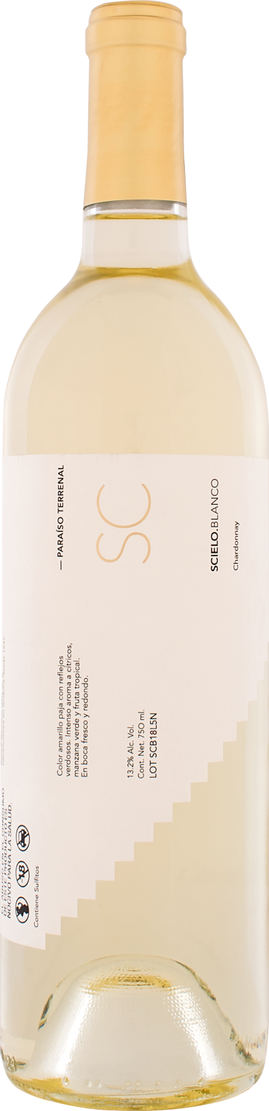 Rivero Gonzàles Scielo White Rivero Gonzàles Scielo White