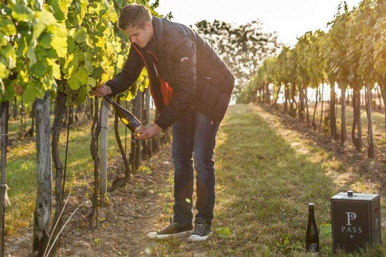 Weingut Pass Weingut Pass