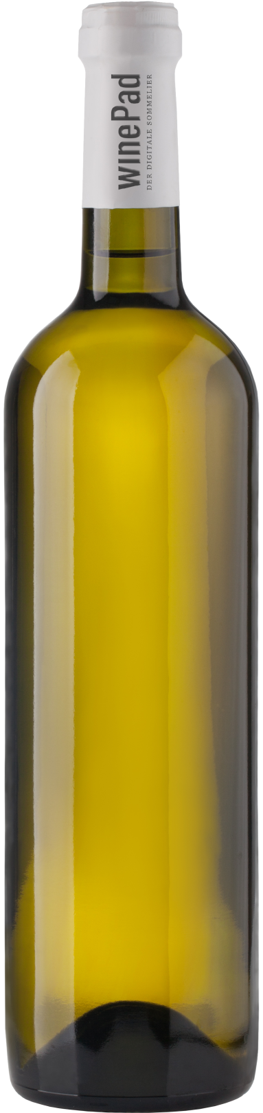Mattes, Cooler Veltliner Mattes, Cooler Veltliner